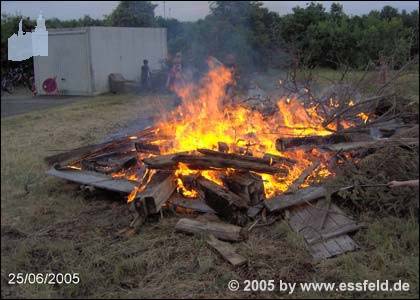 Bild13