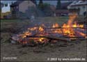 Bild11
