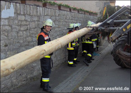 Bild11