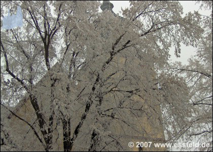 Bild06