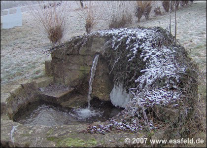 Bild10