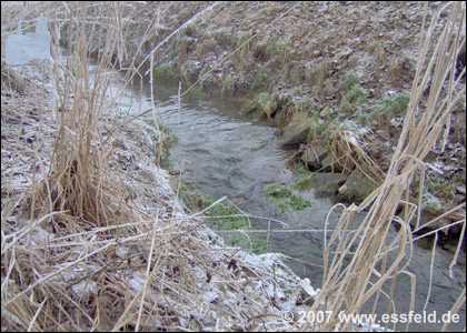 Bild11