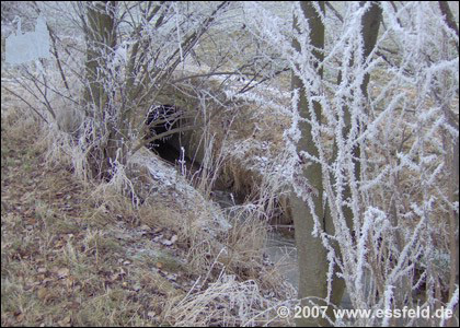 Bild14