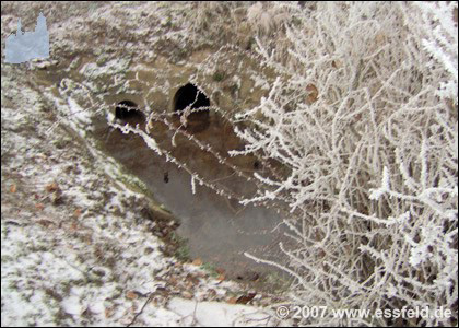 Bild16