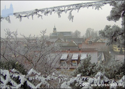 Bild19