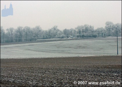 Bild24