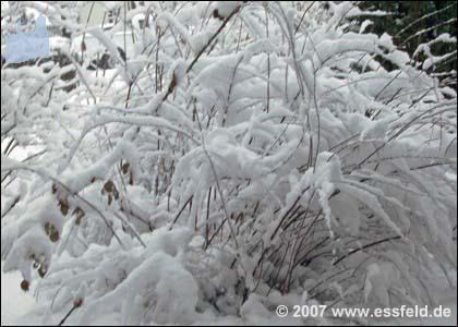 Bild01