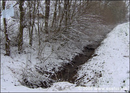 Bild14
