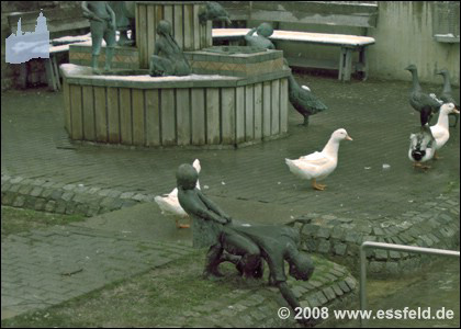 Bild20