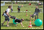 Bild41