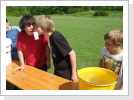 Klicken Sie auf das Bild, um es zu vergrößern